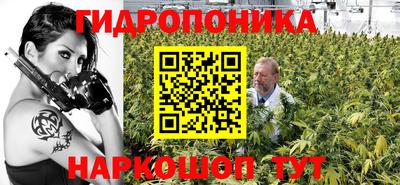 спиды Свободный